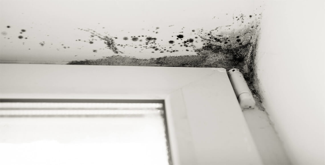 immagine di muffa in casa vicino gli infissi